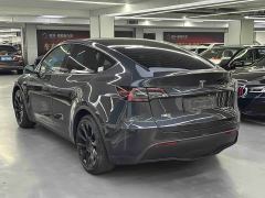 Tesla Model Y Rear-Wheel Drive - ფოტო 9