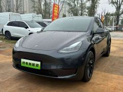 Tesla Model Y Rear-Wheel Drive - ფოტო 2