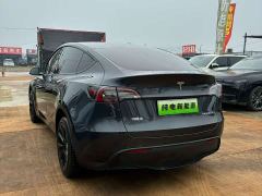 Tesla Model Y Rear-Wheel Drive - ფოტო 6
