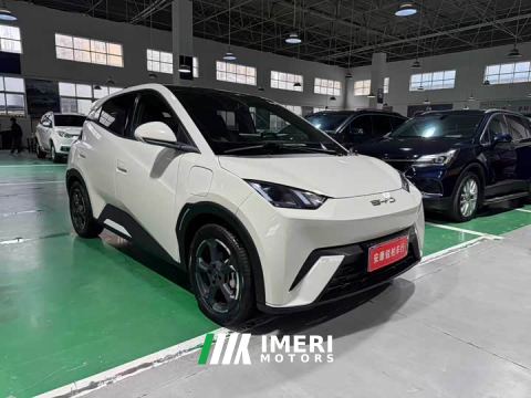 2023 BYD Seagull Freedom Edition - ავტომობილი ჩინეთიდან
