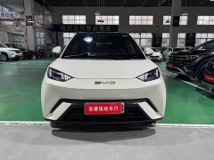 BYD Seagull Freedom Edition - ფოტო 2