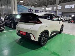 BYD Seagull Freedom Edition - ფოტო 9