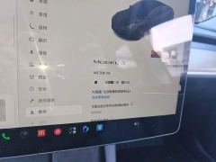 Tesla Model 3 Rear-Wheel Drive - ფოტო 13
