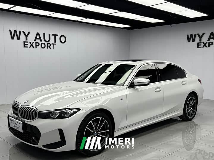 BMW 3 Series 320Li M Sport Package - car from China