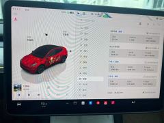 Tesla Model Y Rear-Wheel Drive - ფოტო 10