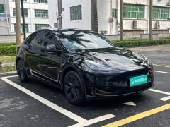 Tesla Model Y Rear-Wheel Drive - ფოტო 12