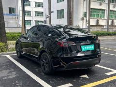 Tesla Model Y Rear-Wheel Drive - ფოტო 6