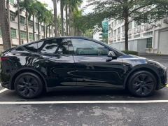 Tesla Model Y Rear-Wheel Drive - ფოტო 9