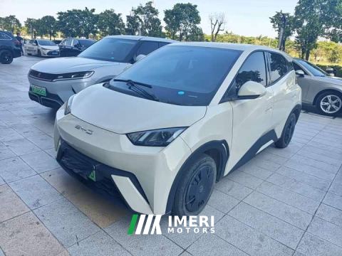 2024 BYD Seagull Vitality Edition - ავტომობილი ჩინეთიდან