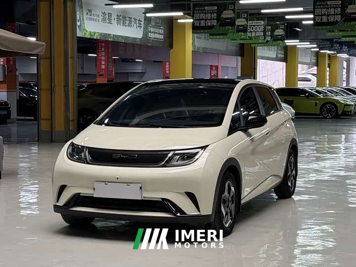 BYD Dolphin 405km Fashion Edition