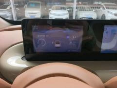 Wuling Binguo 333km Joy Edition - ფოტო 11