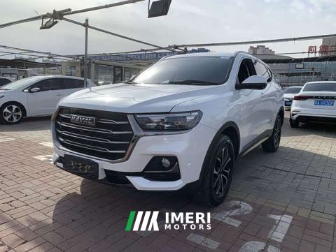 2023 Haval H6 National Trend Edition 1.5T Automatic Urban Version - car from China