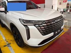 Haval H6 1.5T Two-Wheel Drive Max - ფოტო 3