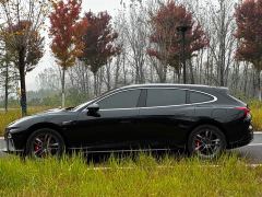 Neta S Shooting Brake Extended Range 300 Standard - ფოტო 8