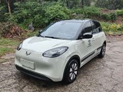 Wuling Binguo 333km Joy Edition - ფოტო 1