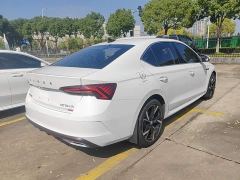 Skoda Octavia PRO TSI280 Luxury Edition - photo 6