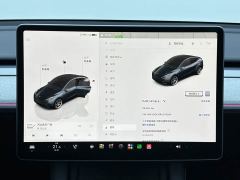 Tesla Model Y Rear-Wheel Drive - ფოტო 15