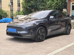 Tesla Model Y Rear-Wheel Drive - фото 1