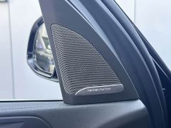 BMW X5 Facelift xDrive 40Li Luxury M Sport Package - ფოტო 10