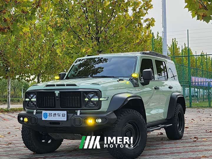 Tank 300 2.0T Wind Forest Iron Cavalry - ავტომობილი ჩინეთიდან