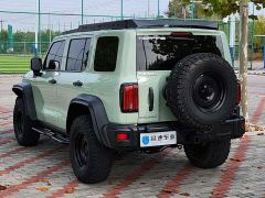 Tank 300 2.0T Wind Forest Iron Cavalry - ფოტო 13