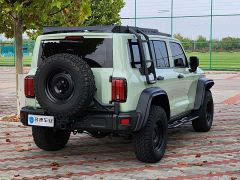 Tank 300 2.0T Wind Forest Iron Cavalry - ფოტო 14