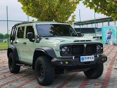 Tank 300 2.0T Wind Forest Iron Cavalry - ფოტო 3