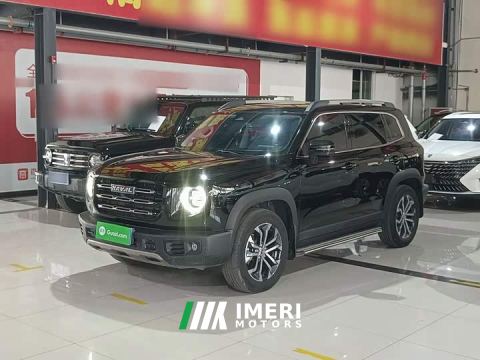 2023 Great Wall Dachshund 1.5T DCT Two-Wheel Drive Border Collie Edition - ავტომობილი ჩინეთიდან