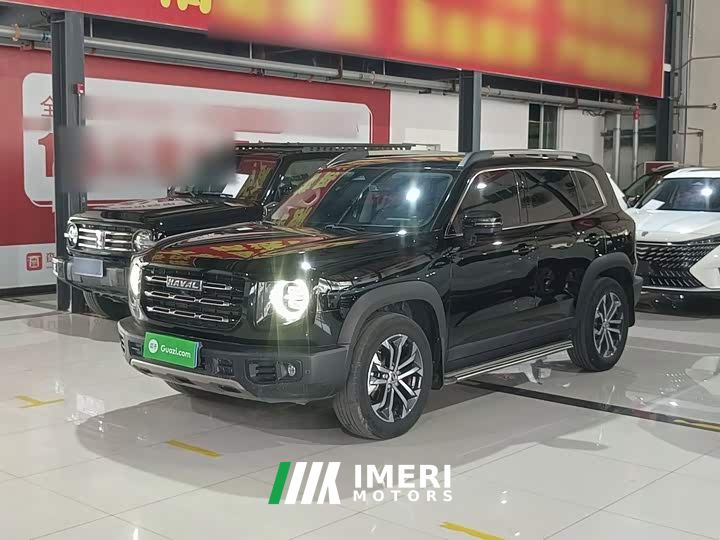 Great Wall Dachshund 1.5T DCT Two-Wheel Drive Border Collie Edition