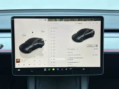 Tesla Model Y Rear-Wheel Drive - ფოტო 15