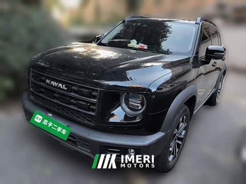2025 Great Wall Dachshund 1.5T DCT Border Collie Edition - ავტომობილი ჩინეთიდან