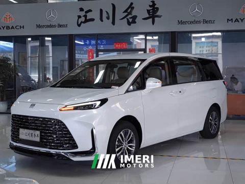2026 Buick GL8 Land Executive Cabin Comfort DG Edition - car from China