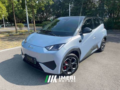 2025 BYD Seagull Smart Driving Edition 305km Freedom Edition - car from China