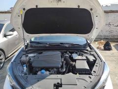 Changan Eado Enjoy Plus Blue Whale NE 1.4T GDI DCT Luxury Edition - фото 19