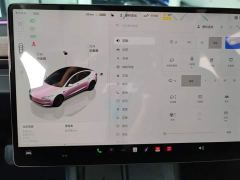Tesla Model 3 Rear-Wheel Drive - photo 14