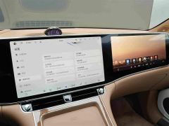 Maextro Venerable Realm S800 EREV Starlight Premium Edition 5-seater (192-wire LiDAR) - photo 10