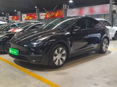 Tesla Model Y Standard Range RWD - photo 1