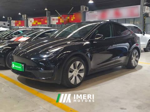 2021 Tesla Model Y Standard Range RWD - ავტომობილი ჩინეთიდან