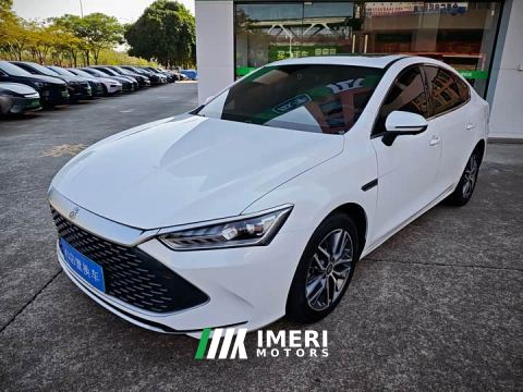 2024 BYD Qin PLUS Champion Edition DM-i 55KM Exceed - ავტომობილი ჩინეთიდან