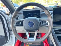BYD Qin PLUS Champion Edition DM-i 55KM Exceed - фото 15