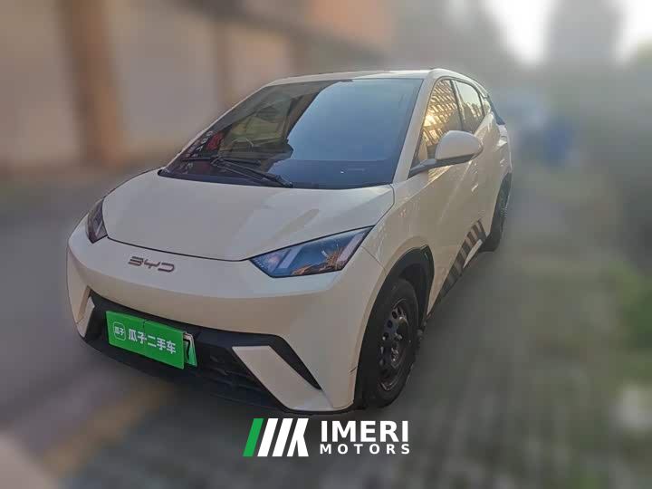BYD Seagull Vitality Edition - car from China