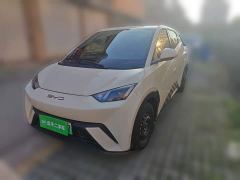 BYD Seagull Vitality Edition - photo 1