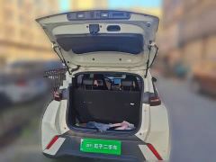 BYD Seagull Vitality Edition - photo 15