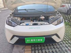 BYD Seagull Vitality Edition - photo 16
