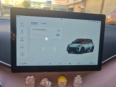 BYD Seagull Vitality Edition - photo 20