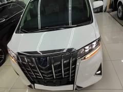 Toyota Alphard Hybrid 2.5L Luxury - photo 2