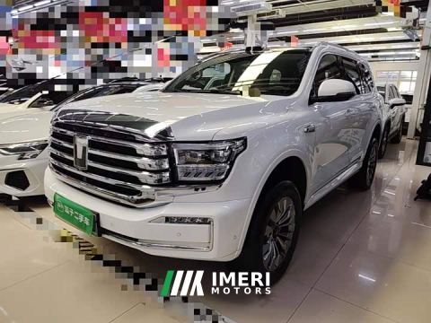 2025 Tank 500 New Energy Hi4-T Smart Comfort Edition - car from China