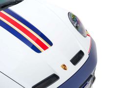 Porsche 911 Dakar - ფოტო 8