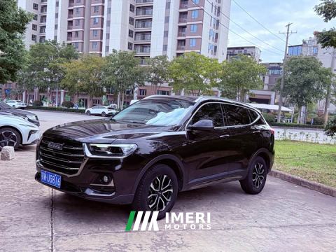 2023 Haval H6 National Trend Edition 1.5T Automatic Urban Version - ავტომობილი ჩინეთიდან