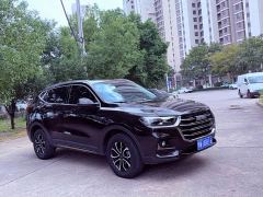 Haval H6 National Trend Edition 1.5T Automatic Urban Version - фото 3